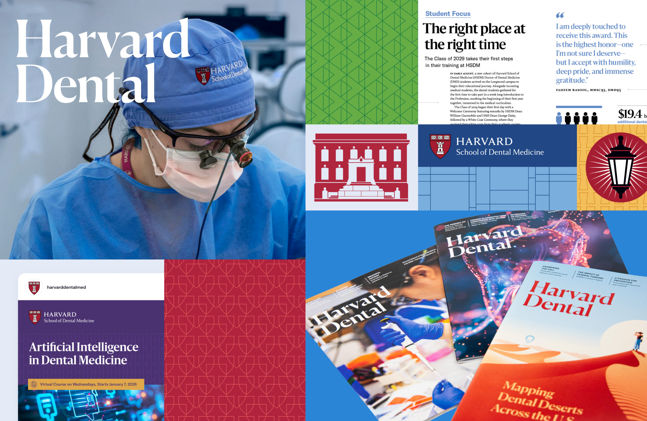 Harvard School of Dental Medicine Identity