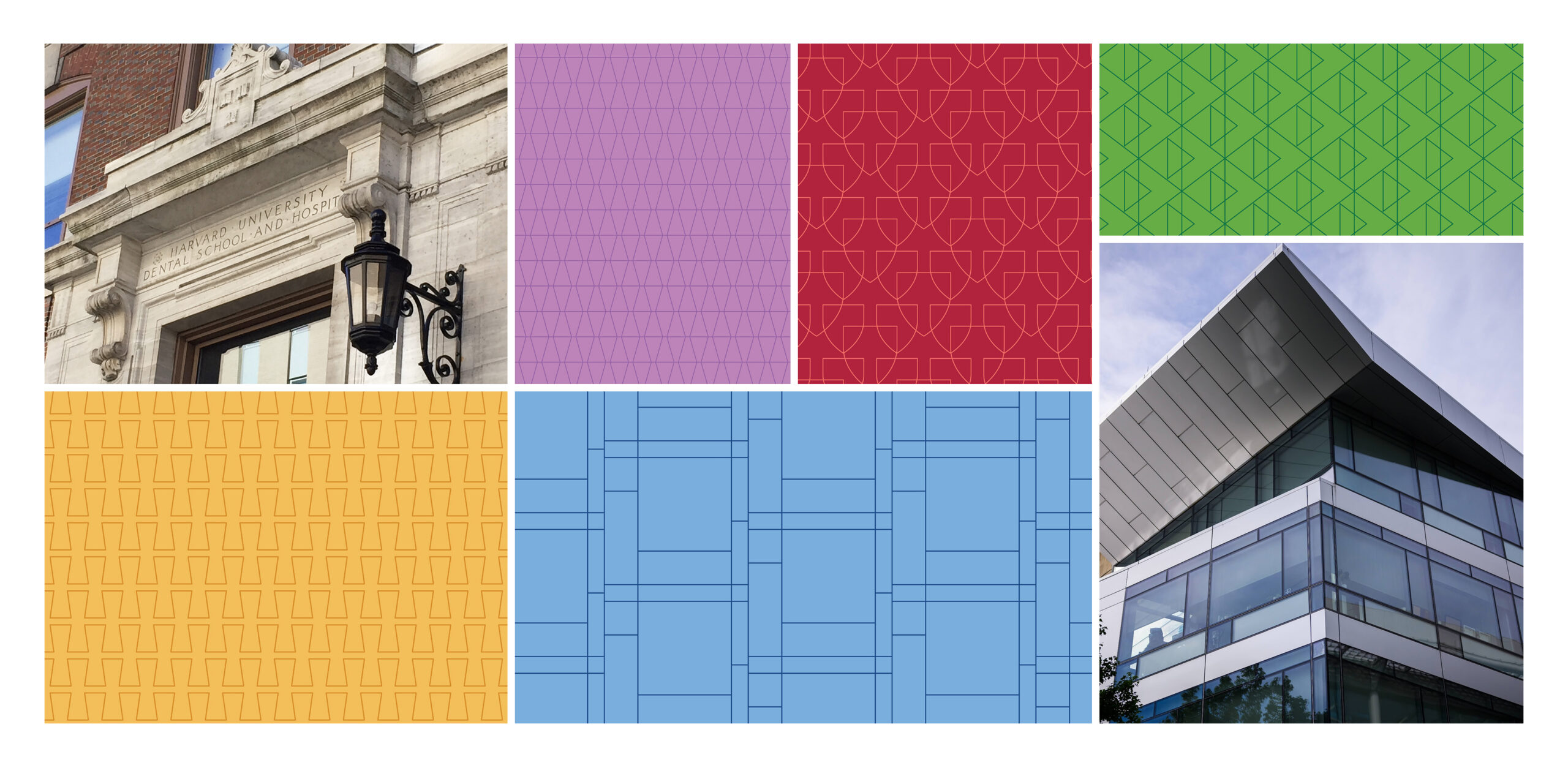 Harvard School of Dental Medicine Identity Patterns